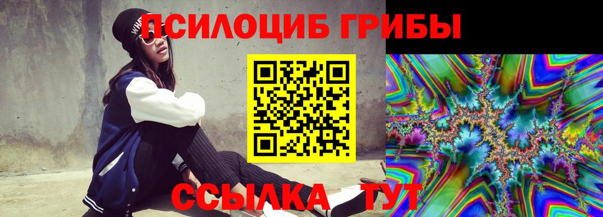 Курган  Галлюциногенные грибы ЛСД  Вход с VPN 