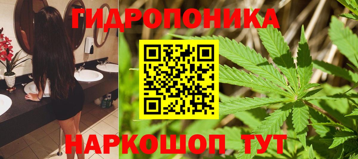 Канабис OG Kush  Канабис THC 21%  Вход с VPN  Шишки марихуана ГИДРОПОН  Курган 